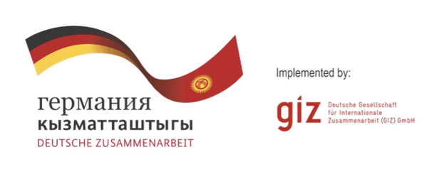 GIZ — Германское общество по международному сотрудничеству