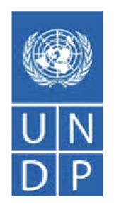 ПРООН — Программа развития ООН